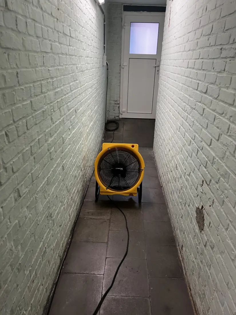 Vochtige kelder met beginnende schimmelvorming voor de behandeling