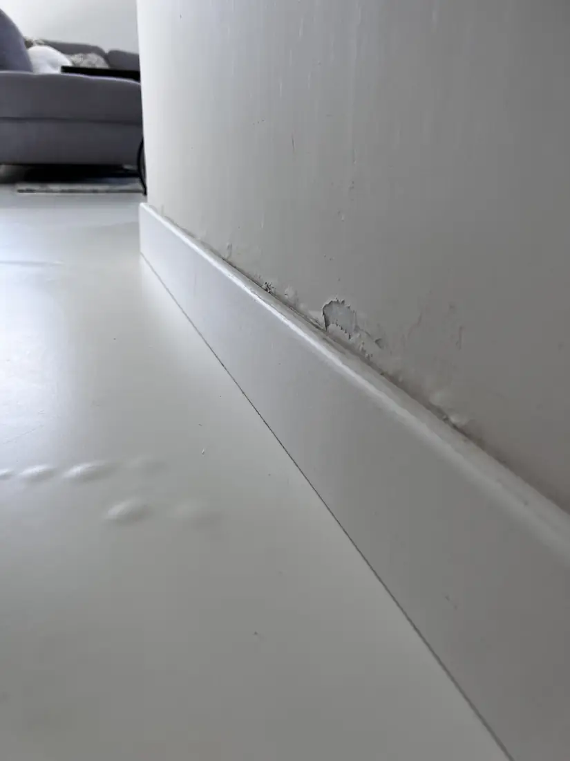 Waterschade zichtbaar op de onderste muurzone in Lokeren