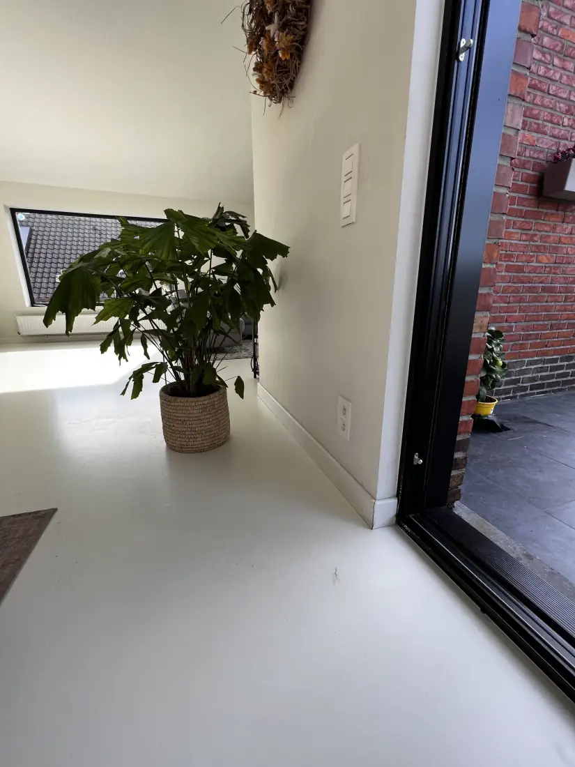 Inspectie van de vochtige oppervlakken vóór behandeling