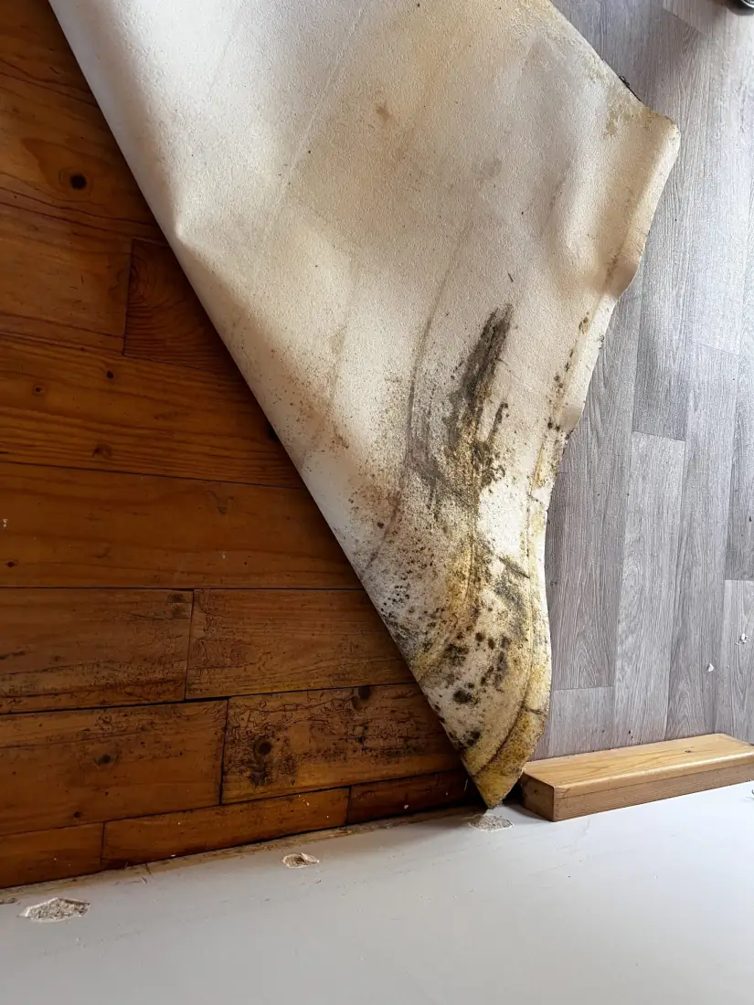Detail van het herstelde muuroppervlak